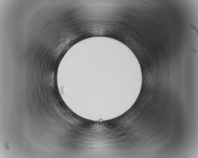 X0000103930596200810171753