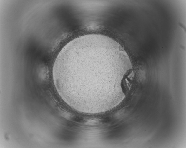 X0000103930597200810171753