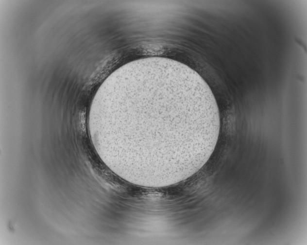 X0000103930598200810171753