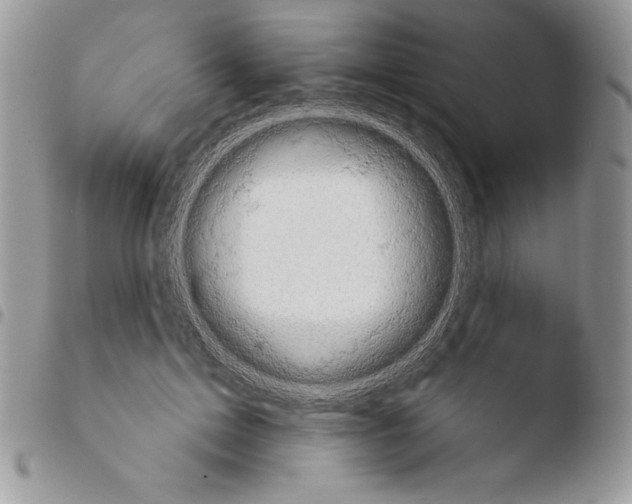 X0000103930599200810171753