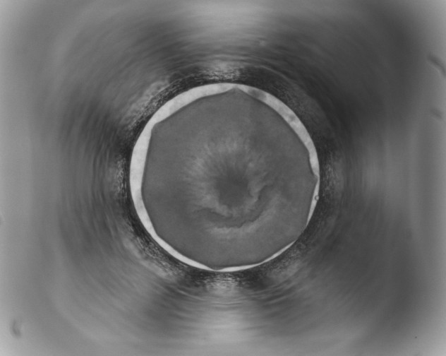 X0000103930600200810171753