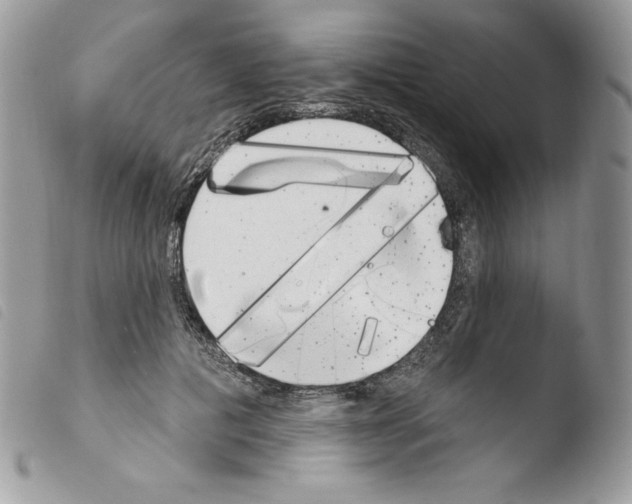 X0000103930601200810171753