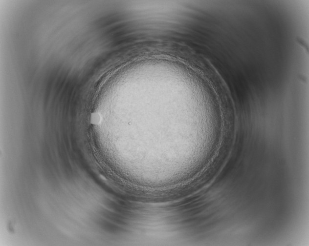 X0000103930603200810171753