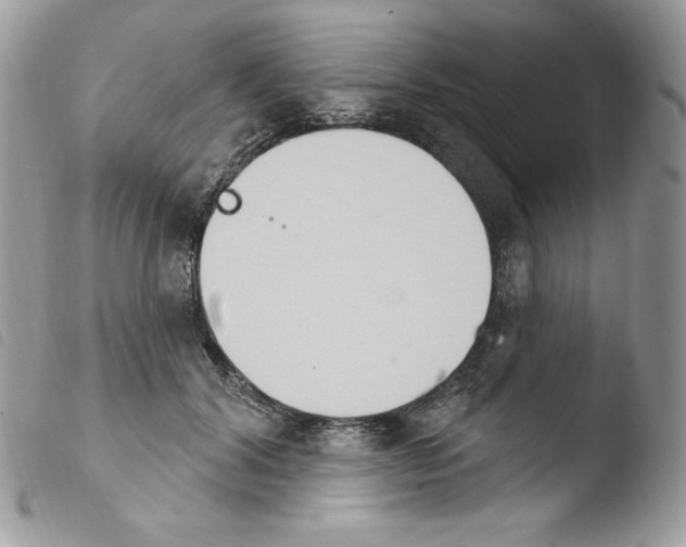 X0000103930604200810171753