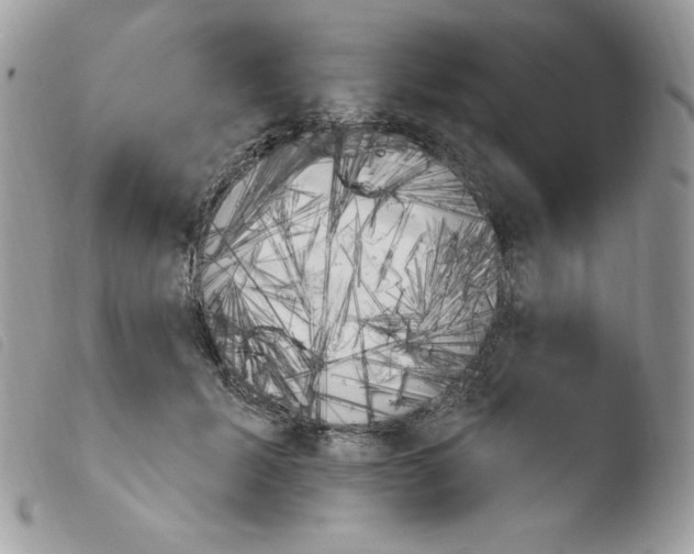 X0000103930605200810171753