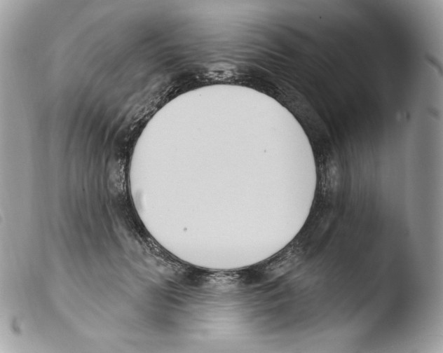 X0000103930606200810171753