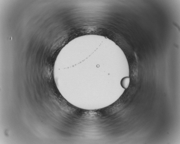 X0000103930607200810171753