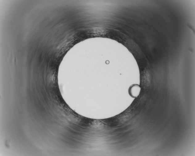 X0000103930608200810171753