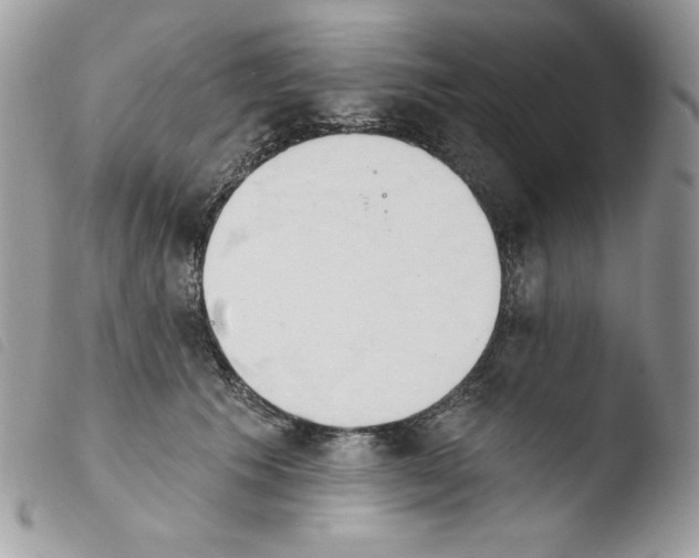 X0000103930609200810171753