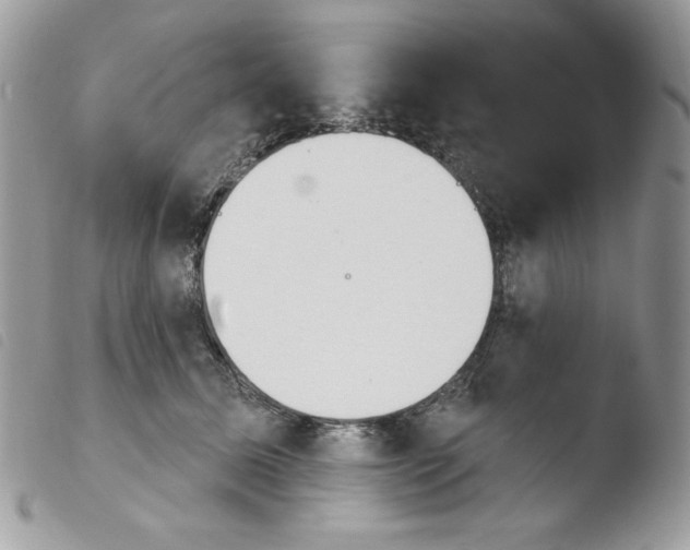 X0000103930611200810171753