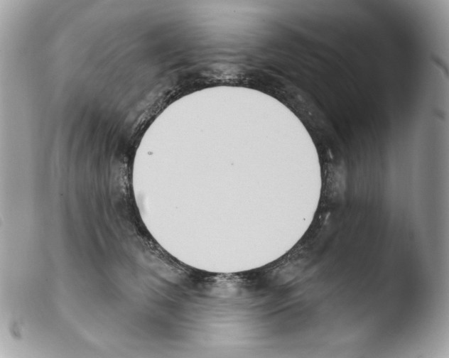 X0000103930612200810171753