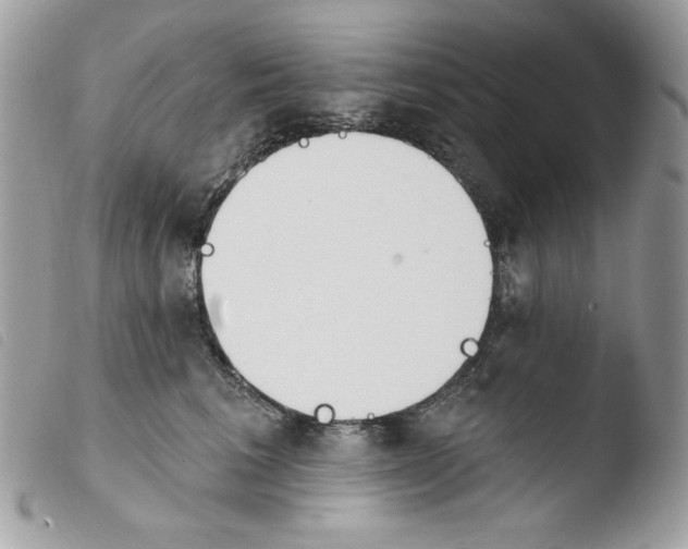 X0000103930613200810171753