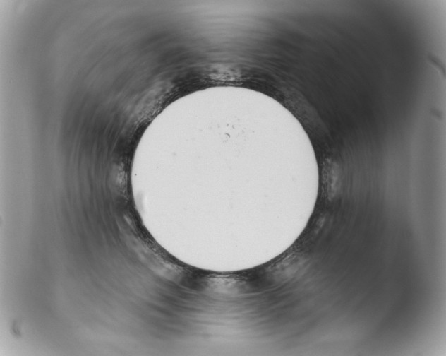 X0000103930614200810171753