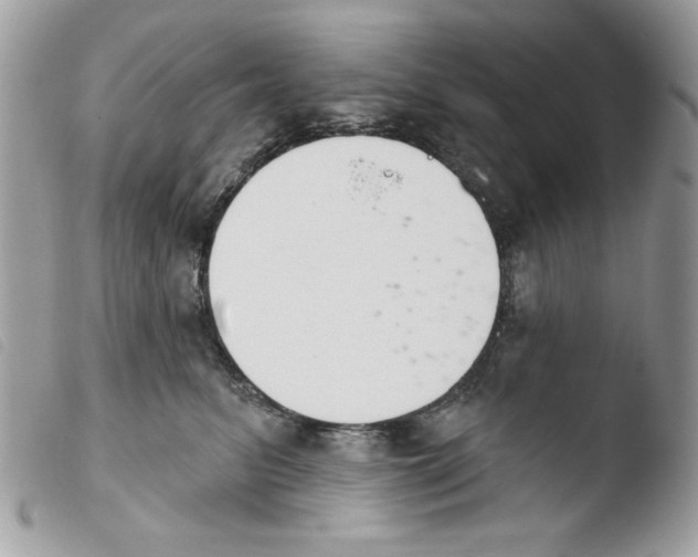 X0000103930615200810171753