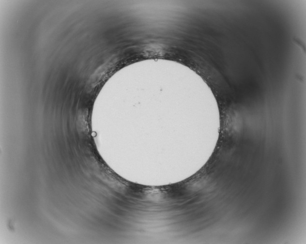 X0000103930616200810171753