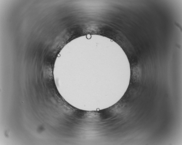 X0000103930617200810171753