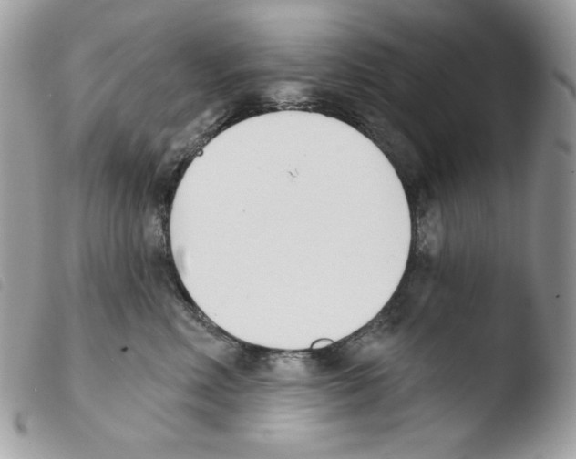 X0000103930618200810171753