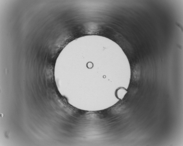 X0000103930620200810171753