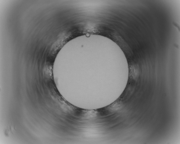 X0000103930621200810171753