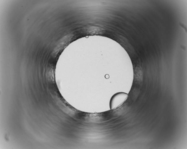 X0000103930622200810171753