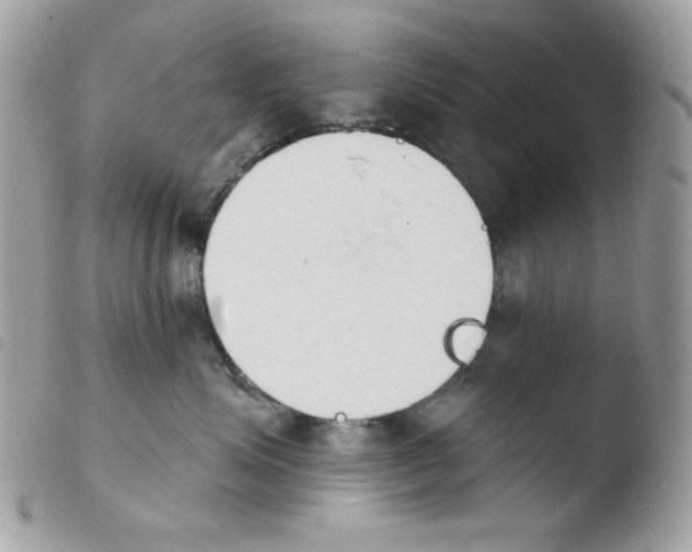 X0000103930623200810171753