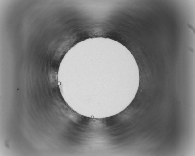 X0000103930624200810171753