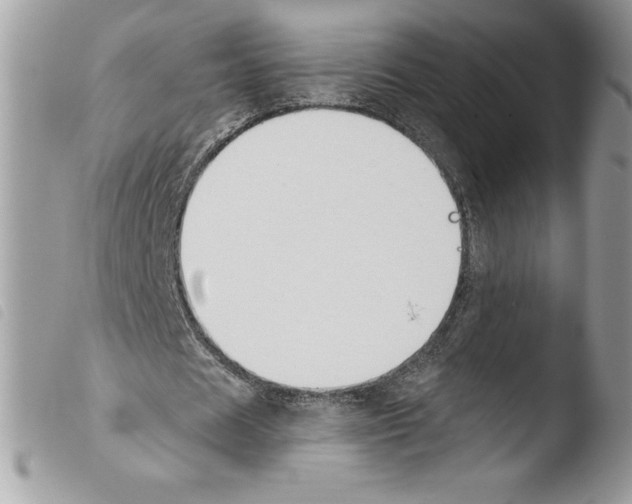 X0000103930625200810171752