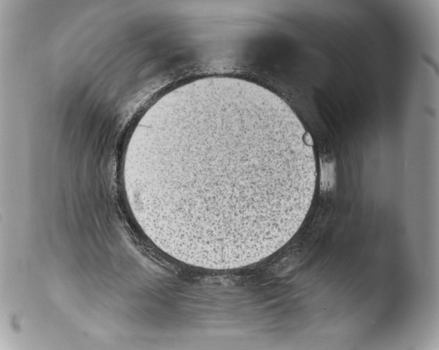 X0000103930627200810171752