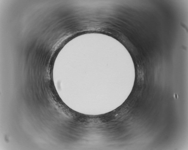 X0000103930628200810171752