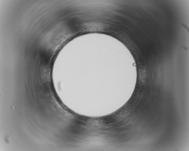 X0000103930629200810171752