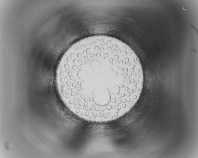 X0000103930631200810171752