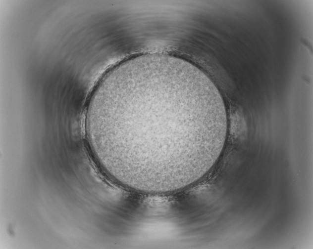 X0000103930632200810171752