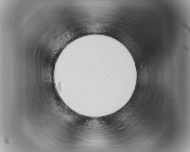 X0000103930635200810171753