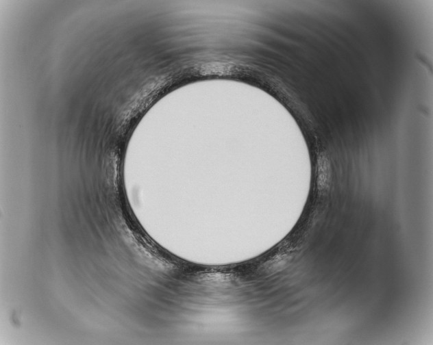 X0000103930637200810171753