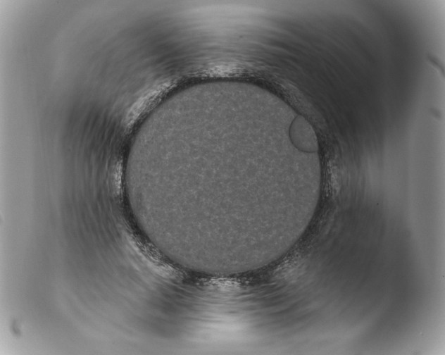 X0000103930640200810171753