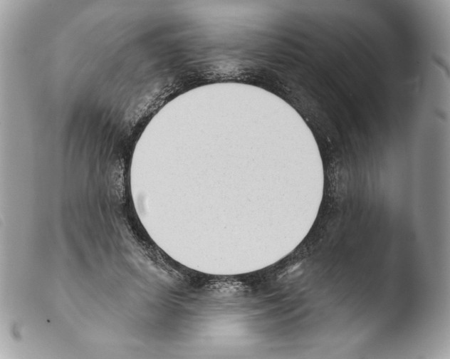 X0000103930642200810171753