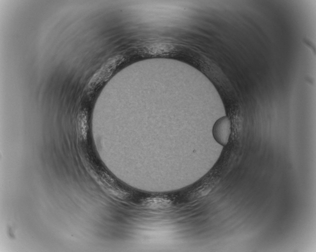 X0000103930644200810171753