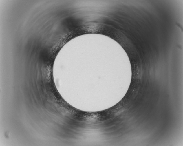 X0000103930646200810171753