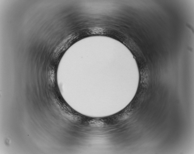 X0000103930648200810171753