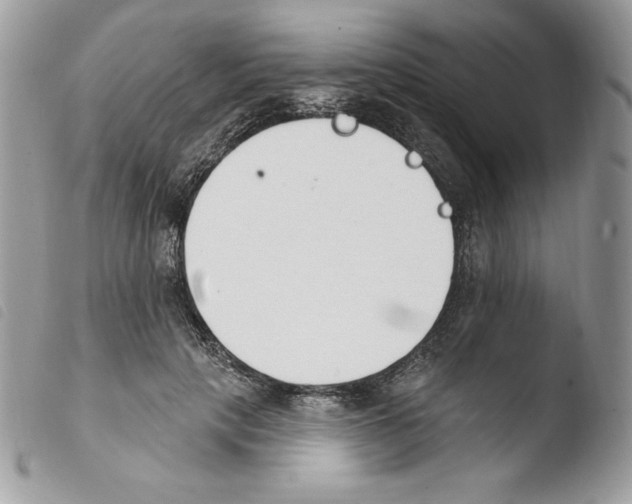 X0000103930649200810171753