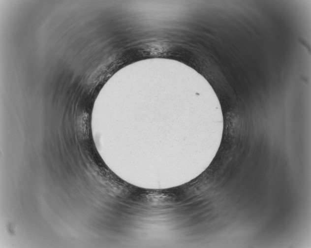 X0000103930650200810171753