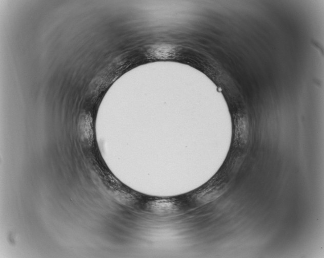 X0000103930651200810171753