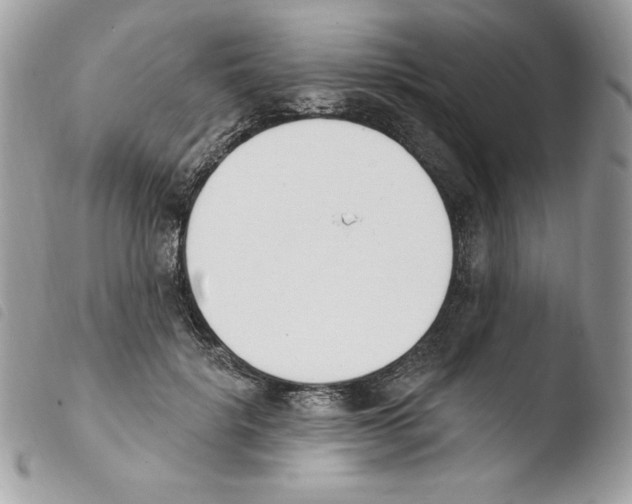 X0000103930652200810171753