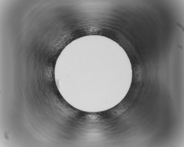 X0000103930654200810171753