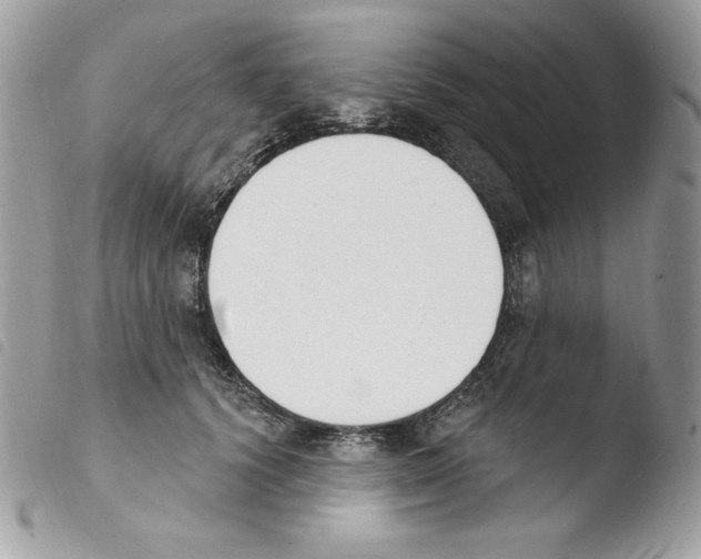 X0000103930656200810171753