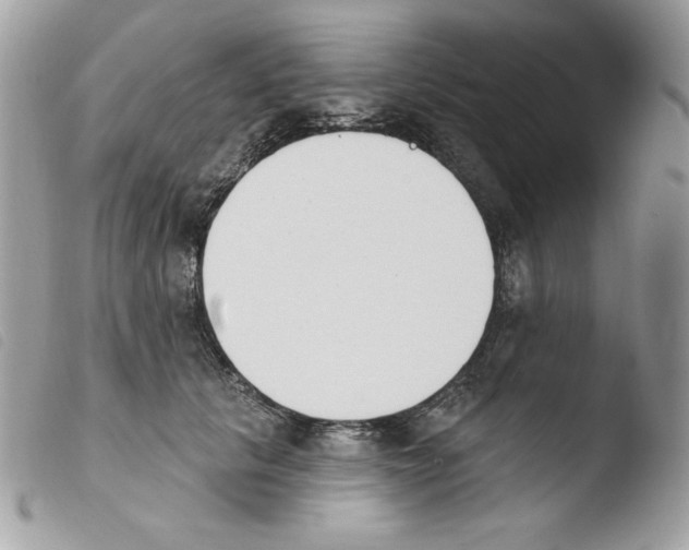 X0000103930657200810171753