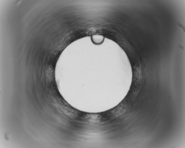 X0000103930659200810171753