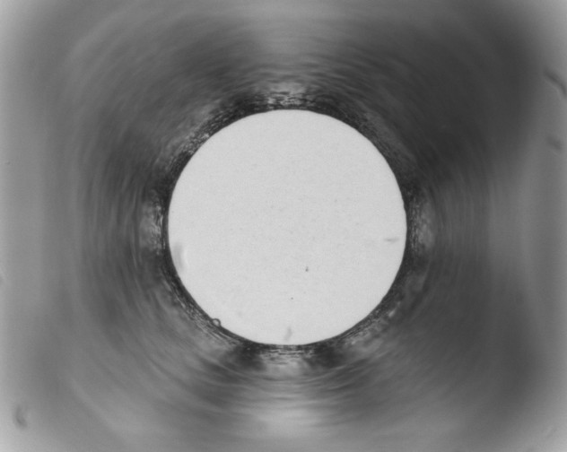 X0000103930661200810171753