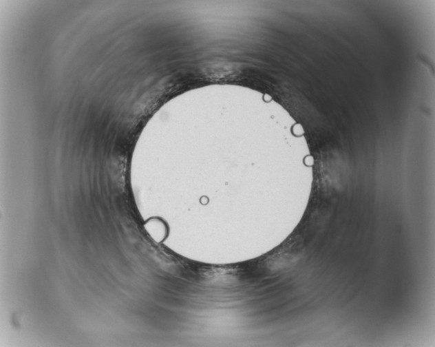 X0000103930664200810171753