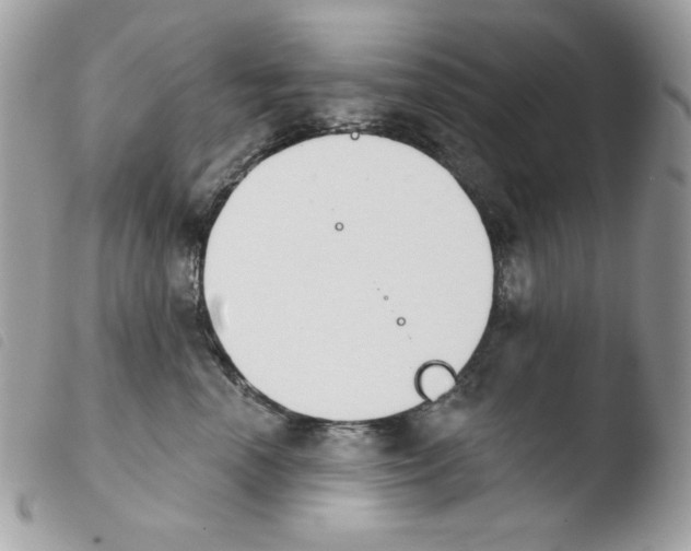 X0000103930666200810171753